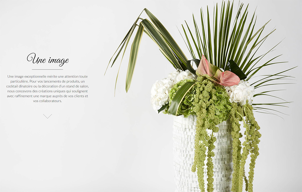 /img/work/louloudia/Louloudia events